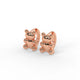 Tiny Teddy Hoops Rose Gold